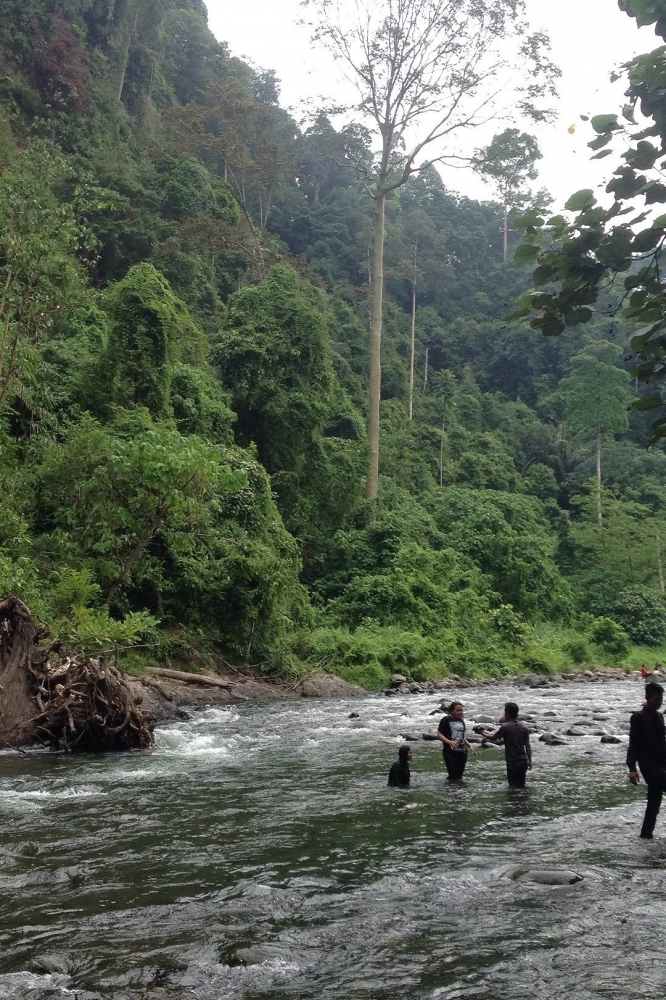 Wisata Bukit Lawang yang Bakal Terlupakan karena Wisata Bukit Lawang yang Bakal Terlupakan karena