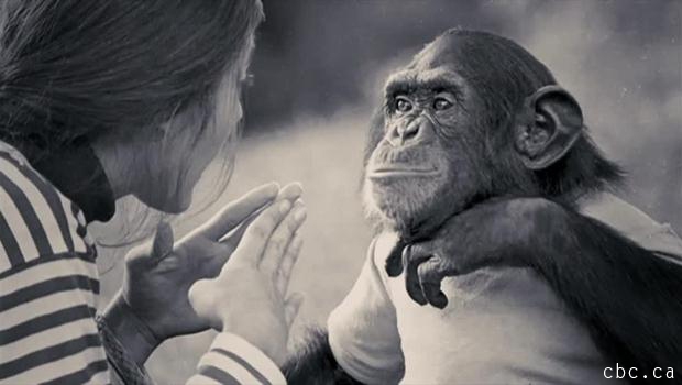 Apakah Hewan Berbahasa Seperti Manusia?