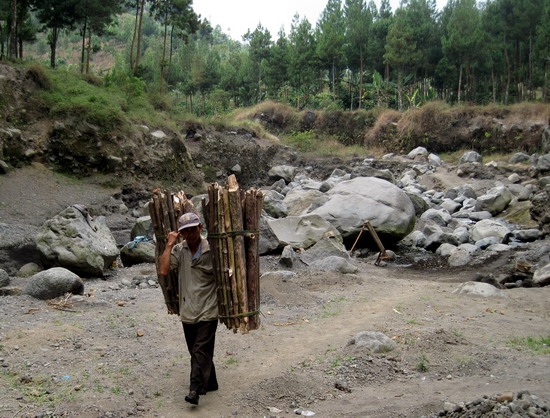 Mencari Kayu Bakar di Tepi Hutan dan Kucing kucingan Mencari Kayu Bakar di Tepi Hutan dan Kucing kucingan
