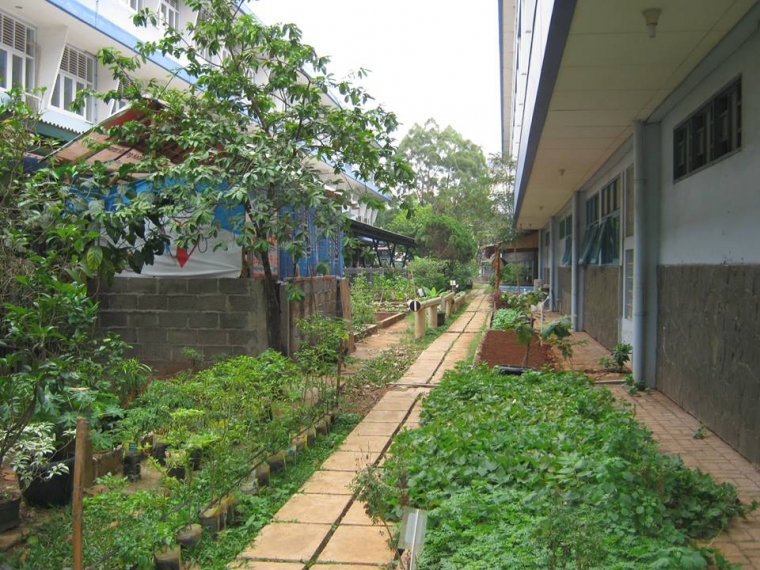 Menemukan Beberapa Inovasi dan Inovator Go Green School Menemukan Beberapa Inovasi dan Inovator Go Green School