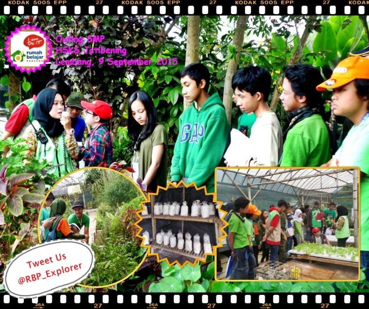 Saat Kelinci dan Kuda Poni Bukan Sekadar Tampilan Google Saat Kelinci dan Kuda Poni Bukan Sekadar Tampilan Google