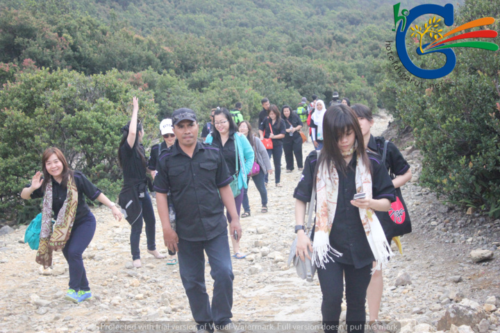 watermark papandayan 8 56189d5c769773d90588bdd0