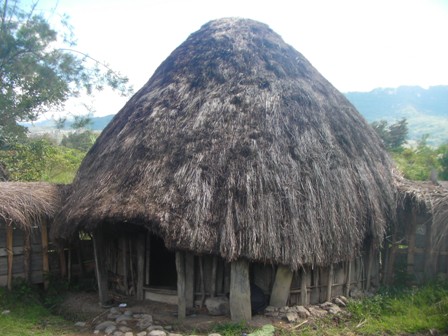 Rumah Adat Papua Rumah Honai Kariwari Dan Rumsram