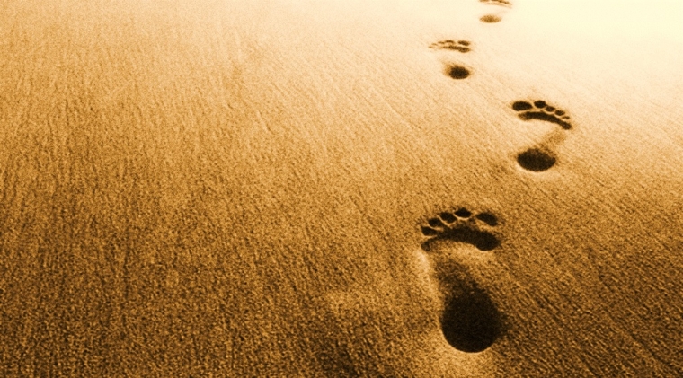 Hasil gambar untuk pergi