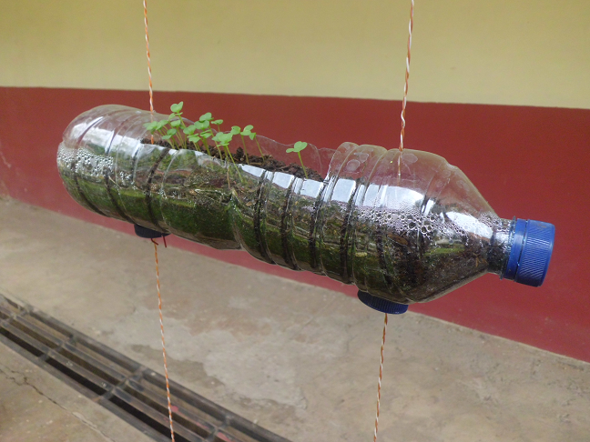 Membuat Pot Gantung dari Botol Plastik Bekas Kompasiana com Membuat Pot Gantung dari Botol Plastik Bekas Kompasiana com