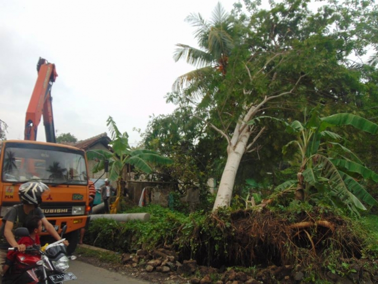 Tiang Listrik Tertimpa Pohon Tumbang Atap dan Genting Tiang Listrik Tertimpa Pohon Tumbang Atap dan Genting