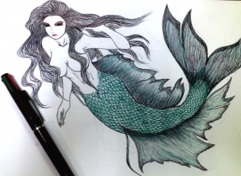 Gambar Ikan  Duyung  Hitam Putih Gambar Ikan  Duyung  Hitam Putih