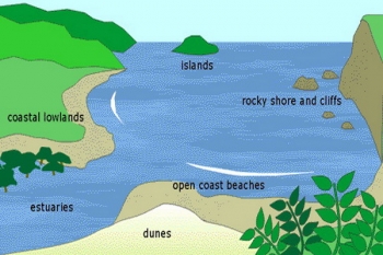 300 Gambar Ilustrasi Ekosistem Pantai Hd Terbaru Infobaru 300 Gambar Ilustrasi Ekosistem Pantai Hd Terbaru Infobaru