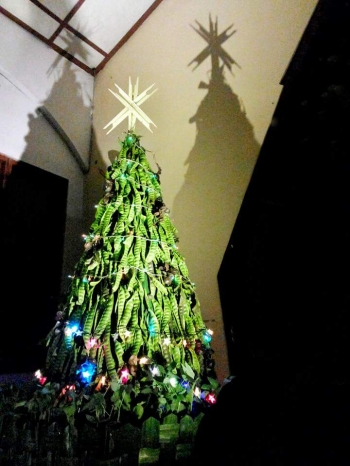 Pohon Natal Petai Adakah Kisah Pembingkainya Halaman All Pohon Natal Petai Adakah Kisah Pembingkainya Halaman All