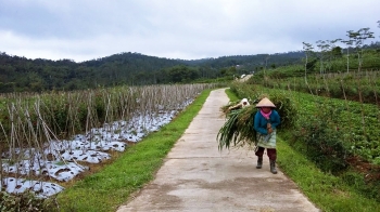 Banyukuning Pesona Tersembunyi Di Balik Kabut Bandungan Banyukuning Pesona Tersembunyi Di Balik Kabut Bandungan