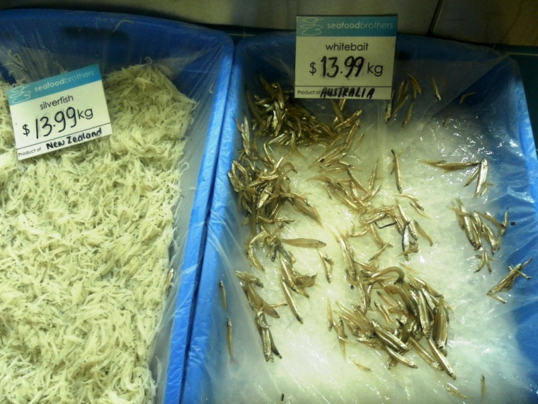 Ikan Teri Laris Manis di Australia Walau Harga Rp 140 000 Ikan Teri Laris Manis di Australia Walau Harga Rp 140 000