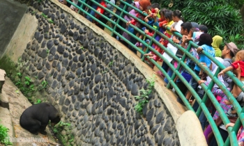 Tiga Cara Terbaik Menikmati Liburan Di Kebun Binatang Tiga Cara Terbaik Menikmati Liburan Di Kebun Binatang