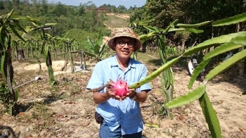 Asyiknya Petik Buah Sendiri Di Agro Lestari Balikpapan Asyiknya Petik Buah Sendiri Di Agro Lestari Balikpapan