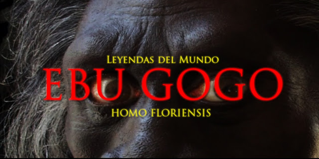 Hobbit 'Ebu Gogo', Antara Kanibalisme, Fakta dan Legenda  Hobbit 'Ebu Gogo', Antara Kanibalisme, Fakta dan Legenda