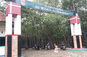 Hutan Payau Cilacap Mulai Berbenah Halaman All Kompasiana Com Hutan Payau Cilacap Mulai Berbenah Halaman All Kompasiana Com