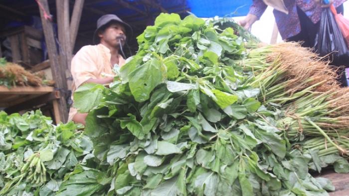 Hari Ini Harga Bayam Rp 2 500 per Ikat Kompasiana com Hari Ini Harga Bayam Rp 2 500 per Ikat Kompasiana com