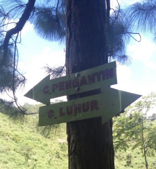 Menjejak Curug Pengantin dan Curug Luhur di Tegal Halaman 1 ...
