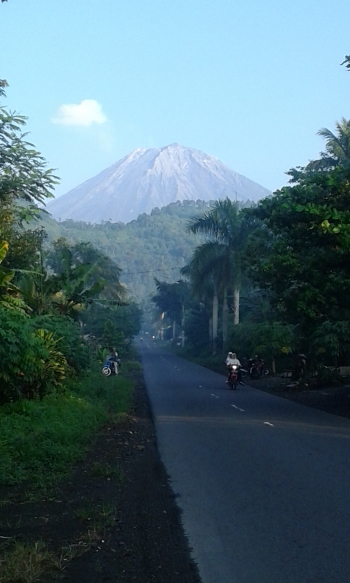 Jalur Lintas Selatan Jember Medias On Instagram Picgra