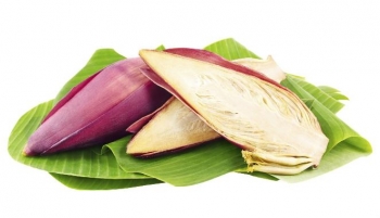 Apa Bahasa Inggrisnya Jantung Pisang Kompasiana Com Apa Bahasa Inggrisnya Jantung Pisang Kompasiana Com