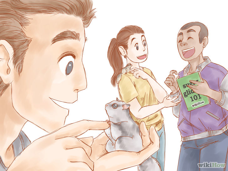 Mengakrabkan Diri dengan Hewan Langka Sugar Glider Halaman Mengakrabkan Diri dengan Hewan Langka Sugar Glider Halaman