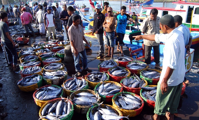 Pengelolaan Keuangan Investasi dalam Usaha Perikanan: Meningkatkan Efisiensi dan Pertumbuhan