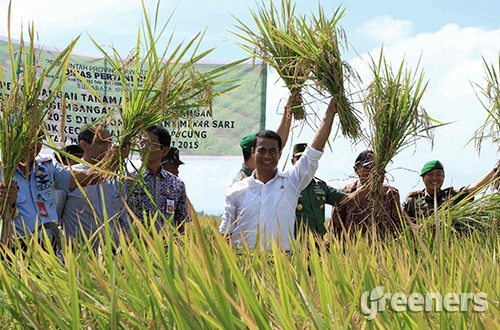 Mengapa Indonesia Sulit Sekali Swasembada Halaman 1 Mengapa Indonesia Sulit Sekali Swasembada Halaman 1