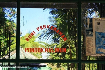 Wisata Bumi Perkemahan Pondok Halimun Sukabumi Halaman All Wisata Bumi Perkemahan Pondok Halimun Sukabumi Halaman All