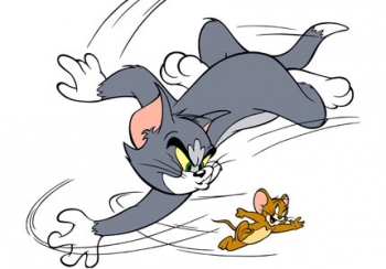 89 Gambar Kucing Dan Tikus Kekinian 89 Gambar Kucing Dan Tikus Kekinian