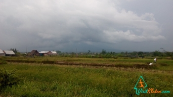 Keindahan Pemandangan Sawah Di Desa Jetis Klaten Selatan Keindahan Pemandangan Sawah Di Desa Jetis Klaten Selatan