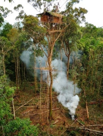 101 Gambar Alam Papua Paling Hist 101 Gambar Alam Papua Paling Hist