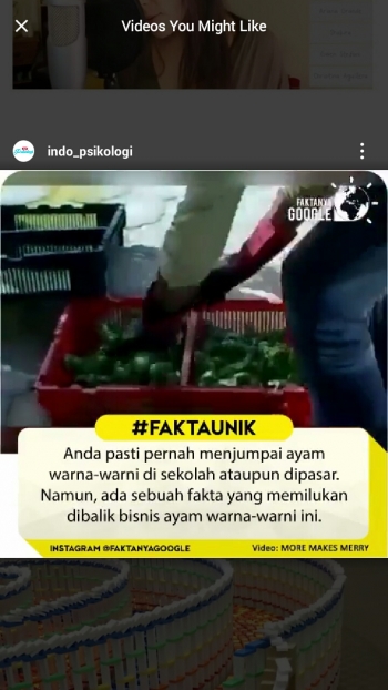 100+ Gambar Ayam Yg Sudah Diwarnai Paling Keren 100+ Gambar Ayam Yg Sudah Diwarnai Paling Keren