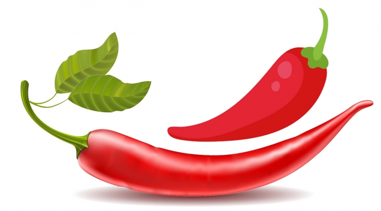 Cabe Halaman 1 Kompasiana com Cabe Halaman 1 Kompasiana com