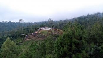 Ajang Komersil Lokasi Foto Di Batu Flower Garden Halaman All Ajang Komersil Lokasi Foto Di Batu Flower Garden Halaman All