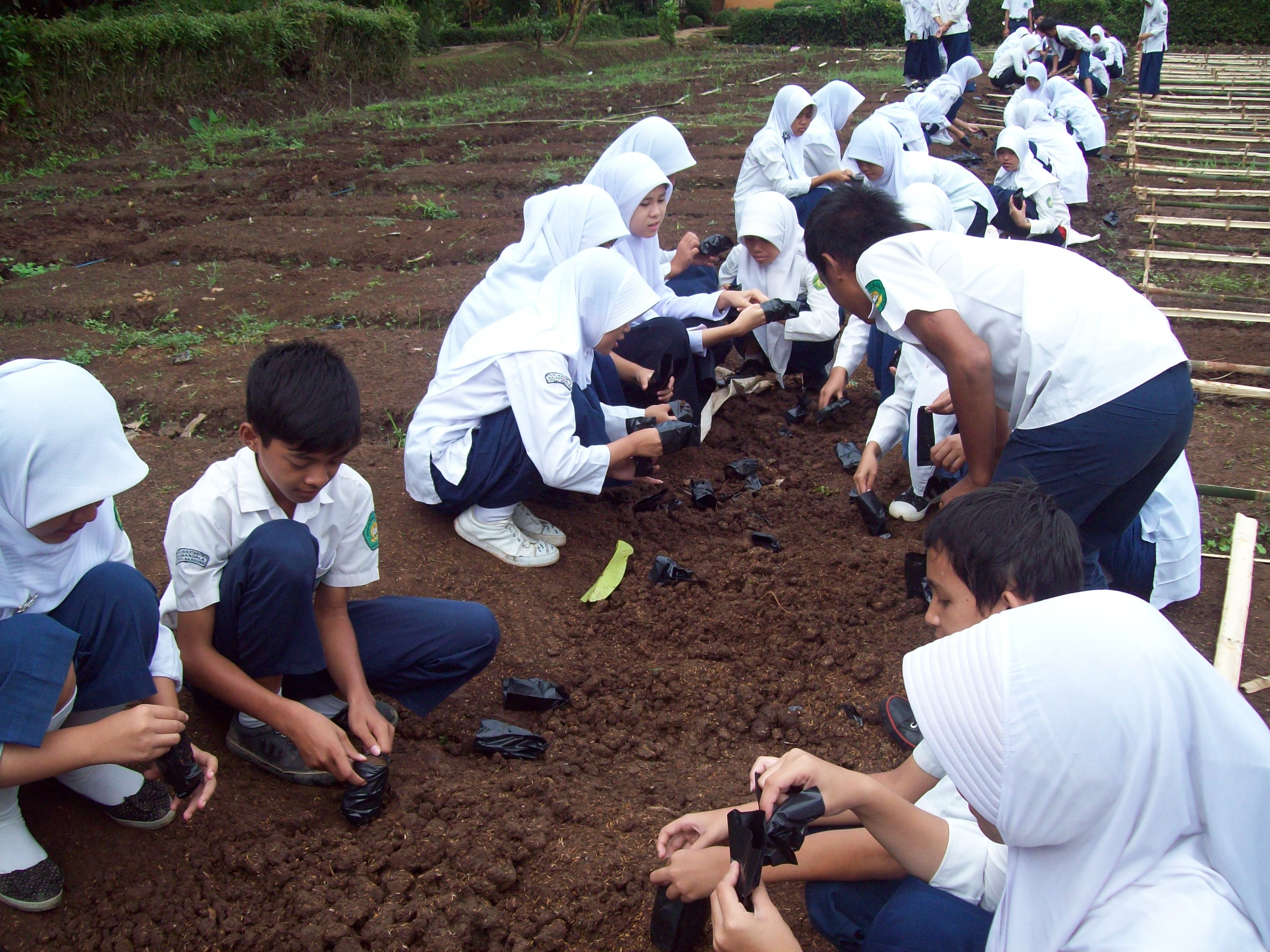 Belajar Matematika