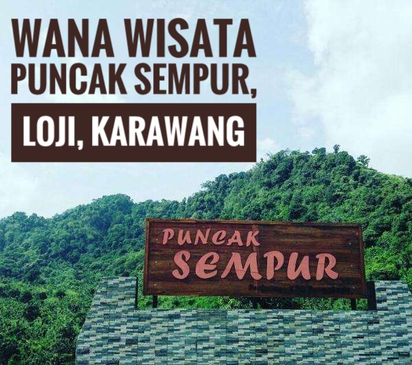 Wana Wisata Puncak Sempur Destinasi Wisata Bagi Wana Wisata Puncak Sempur Destinasi Wisata Bagi