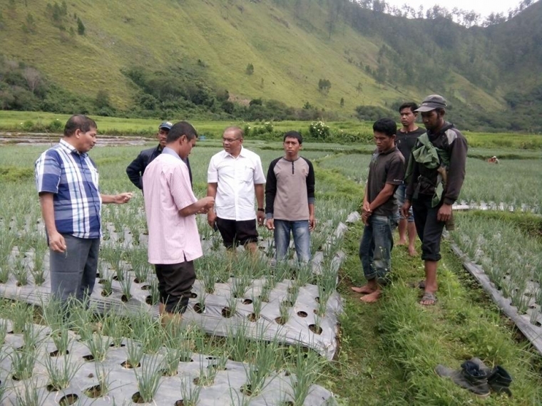 Kiat Penyuluh Atasi Serangan Hama Ulat pada Tanaman Bawang Kiat Penyuluh Atasi Serangan Hama Ulat pada Tanaman Bawang