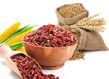 Makanan Pengganti Nasi Bagi Penderita Diabetes Halaman All