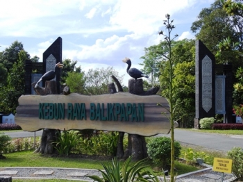Kebun Raya Balikpapan Wisata Hijau Di Tengah Kepenatan Kota Kebun Raya Balikpapan Wisata Hijau Di Tengah Kepenatan Kota