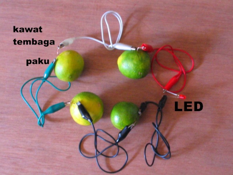 Listrik Pohon Kedondong?! Halaman all - Kompasiana.com