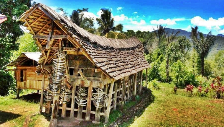 Rumah Adat Tongkonan Asal Provinsi Dan Keunikan Nya