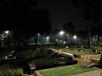 Image result for tpu jeruk purut