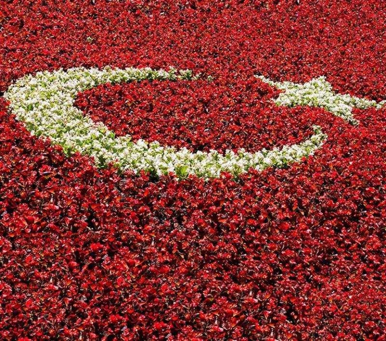 Dukungan Turki untuk Perjuangan Kemerdekaan Indonesia Halaman 1