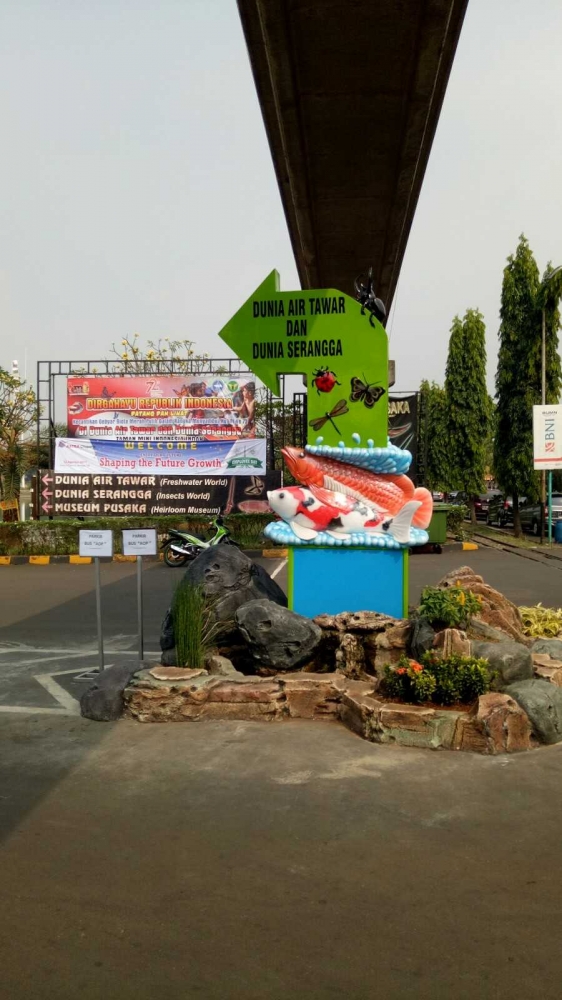 Serangga dalam Dunia Air Tawar Kompasiana com Serangga dalam Dunia Air Tawar Kompasiana com