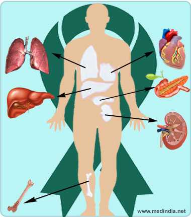 reversing diabetes by an organ transplant the results of research in toronto reversing diabetes by an organ transplant the results of research in toronto