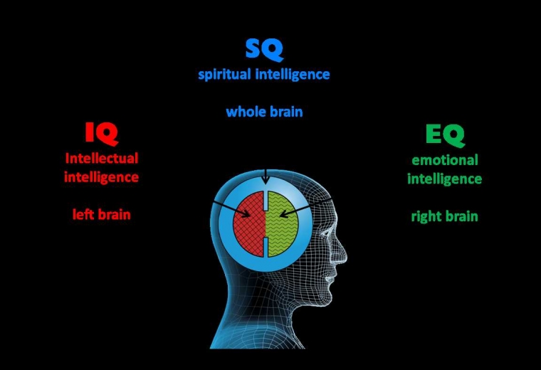 pengertian iq esq strategi opsi baru