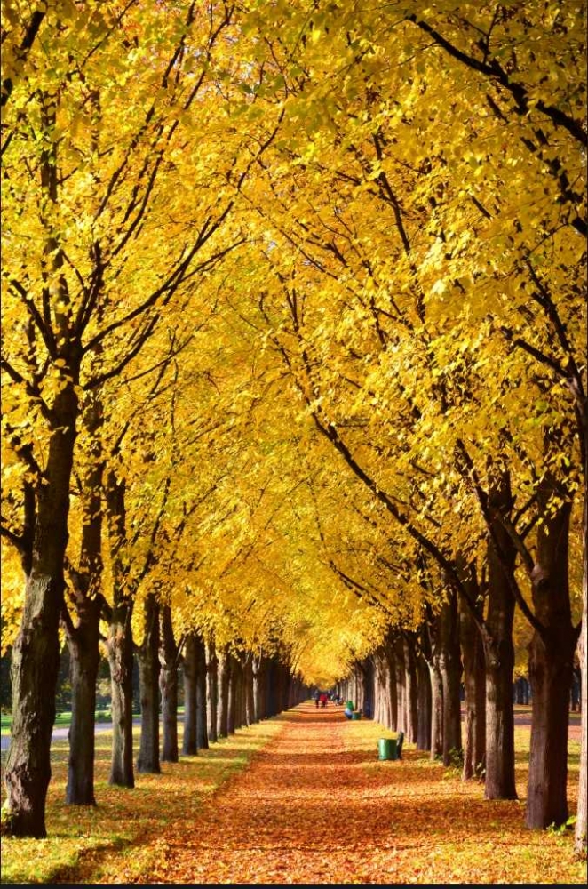 "Der Goldene Oktober", Jerman yang Keemasan di Bulan Oktober