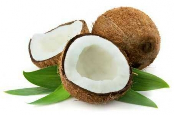 Pohon Kelapa Pohon Seribu Manfaat Halaman All Kompasiana Com Pohon Kelapa Pohon Seribu Manfaat Halaman All Kompasiana Com