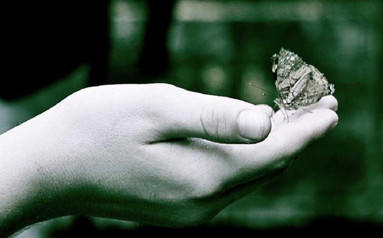 Hasil gambar untuk pasrah