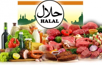 730+ Gambar Hewan Halal Dan Haram Menurut Islam HD Terbaru