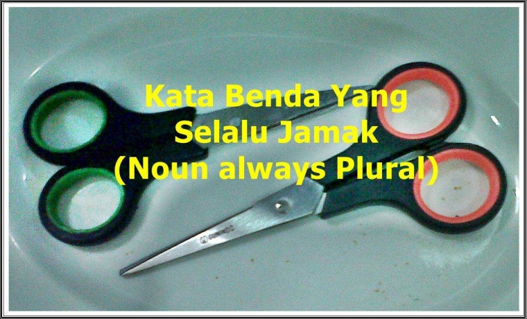 Kata Benda Dalam Bahasa Inggris Yang Sifatnya Selalu Jamak